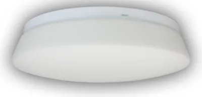 Produktbild von Niermann LED Nurglasleuchte Opal Glas matt 25cm, warmweiss,  EU