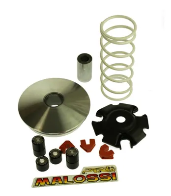 Immagine prodotto di Variatore MALOSSI Multivar per Honda FES NES SH 125 150cc