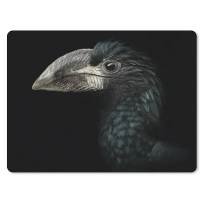 Produktbild von MuchoWow® Mauspad Mousepad Vogel - Porträt - Hornvogel - Schwarz - Tiere 23x19 cm - Mousepads - Maus Mat - Pad - Mausunterlage - Schreibtischunterlage - Mauspad