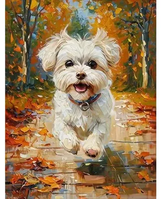 Immagine prodotto di NORIMPEX Diamantov piccola padella, padella maltese, 30 x 40 cm