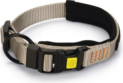 Produktbild von Beeztees Parinca Premium -  Hundehalsband  - Nylon - Hellgrau - 30-35 cm