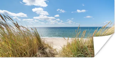 Produktbild von MuchoWow® Poster Düne - Gras - Meer - Strand 160x80 cm - Foto Poster
