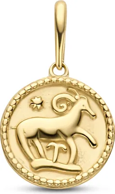 Produktbild von New Bling 9NBG-0286 Gouden Sterrenbeeld - Ram - 10 mm Doorsnee - 14 Karaat - Goud