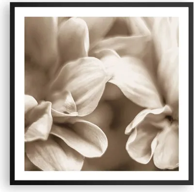 Produktbild von Gerahmtes Poster - Schwarzer Rahmen - Blumen Boho ohne - 60x60 cm - Wand Bild - Wanddeko - Wandbilder - Kunstposter - Wandposter - Bilderrahmen - Bilder - Kunstdruck - Wanddekoration - P2BAC60x60-4767