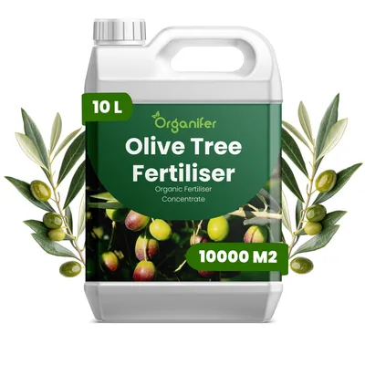 Produktbild von Olivenbaum Flüssigdünger 10L – 2-1-8 NPK – Flüssig-Pflanzendünger für Garten, Terrassen & mediterrane Olivenbäume – Organifer