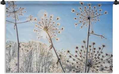 Produktbild von MuchoWow® Wandteppich Wandbehang Pflanzen - Schnee - Stilleben 60x40 cm Tapisserie Dekoration Wandtuch - Wanddekorationen