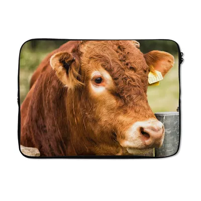 Produktbild von MuchoWow® Laptop Hülle 14 ZollSchottischer Highlander - Berg - Zaun Laptoptasche - Laptoptasche - Stoßsicher - Schutzhaube
