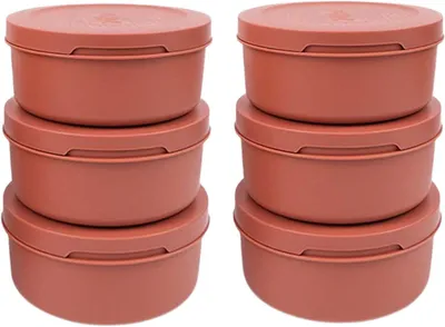 Produktbild von ZiiPa Pizzateigbox – ø 16 cm / 250 Gramm – Terrakotta – 6 Stück