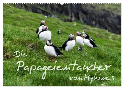 Produktbild von Die Papageientaucher von Mykines (Wandkalender 2027 DIN A2 quer), CALVENDO Monatskalender
