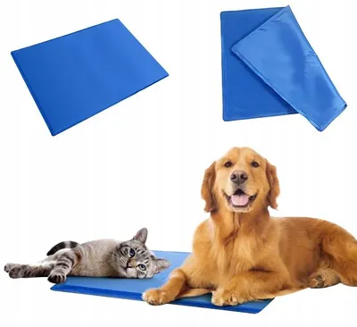 Produktbild von Gel-Kühlmatte für Hunde & Katzen, Wasserdicht, Größe L