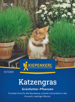 Produktbild von Kiepenkerl Saatgut Katzengras Frischgrün Mischung für ca. 1 m²