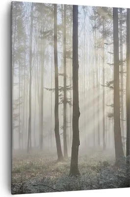 Produktbild von Bild auf Leinwand - Leinwandbild - Einteilig - Wald Baum Natur - 70x100cm - Wand Bild - Wanddeko - Wandbilder - Leinwanddruck - Kunstdruck - Wanddekoration - Leinwand bilder - Wandbild - PA70x100-3749