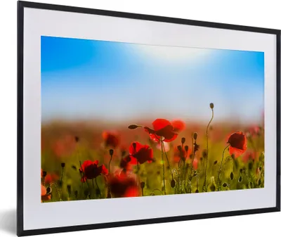 Produktbild von MuchoWow® Gerahmtes Poster Mohnblumen unter einem klaren blauen Himmel. 60x40 cm - Poster mit Schwarzem Bilderrahmen Wandposter Rahmen Foto Bilder - Schlafzimmer - Plakat in Rahmen - Drucken