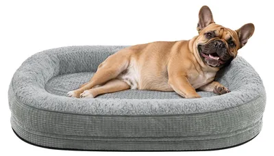 Image de Lit orthopédique pour chiens de taille moyenne, avec un coussin de soutien pour la nuque