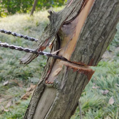 Produktbild von Handkettingzaag für Outdoor Aktivitäten - Survival Säge aus Kohlenstoffstahl - Tragbare Handsäge für Camping und Wandern