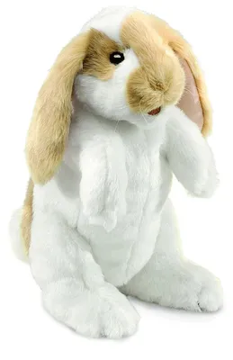 Produktbild von Folkmanis Handpuppe Stehender Hängeohrhase 2992
