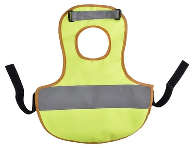 Image de Gilet de poulet Gaun