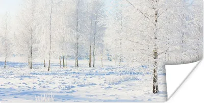 Produktbild von MuchoWow® Poster Schnee - Bäume - Winter 80x40 cm - Wanddeko
