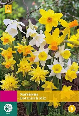 Produktbild von Narzisse Botanical Mix (20 Stück) | Narzissenzwiebeln von Jub Holland