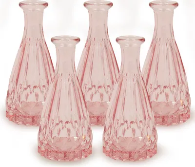 Immagine prodotto di Vasi in vetro, 5 pezzi, rosa, 14,5 cm