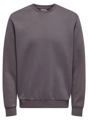 Productafbeelding van Only & Sons Onsceres, crewneck trui