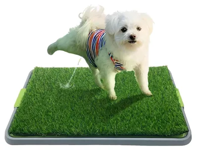 Immagine prodotto di Lettiera per cani con manto in erba sintetica - Lettiera portatile per cani - Tappetino assorbente lavabile - Facile manutenzione - Design a 3 strati con erba sintetica - Ambiente esterno naturale - Tappetino in erba sintetica per cani