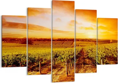 Produktbild von Bild auf Leinwand - Leinwandbild - Weinberg Aussicht Landschaft - 150x100cm - Wand Bild - Wanddeko - Leinwanddruck - Bilder - Kunstdruck - Wanddekoration - Leinwand bilder - Wandkunst - EA150x100-0170