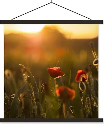 Produktbild von MuchoWow® Textilposter Mohn - Sonnenuntergang - Gold 90x90 cm mit schwarzem Rahmen - Magnetisches