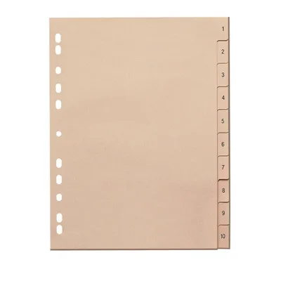 Image de sans marque 846110-1110-81 Registre papier 1-10 10x Vf A4