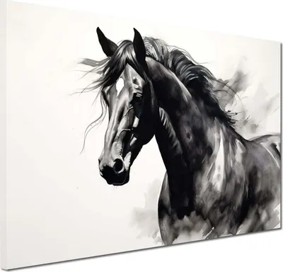 Produktbild von Abstrakt Pferd schwarz weiß Tier Leinwandbild Wandbild Deko Kunst XL: 100x75x4cm
