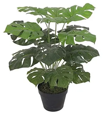 Productafbeelding van Kunstplant met bladeren, zwart, 60 cm, Monstera