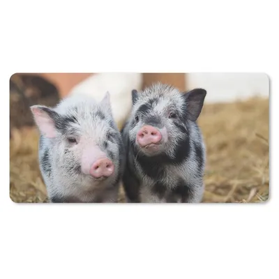 Produktbild von MuchoWow® Mauspad Mousepad Schwein - Tiere - Ferkel 60x30 cm - Mousepads - Maus Mat - Pad - Mausunterlage - Nachhaltig