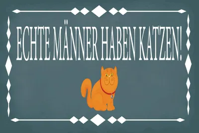 Produktbild von vianmo Blechschild 20x30 cm Echte Männer Katzen