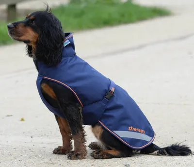 Zdjęcie produktu dla Bucas Hundedecke 0g Therapy Dog Rug Hundemantel Navy/Orange 45cm