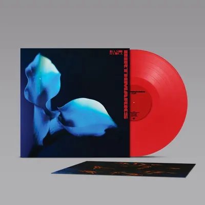 Zdjęcie produktu dla Bambara: Bambara: Birthmarks (czerwony winyl) - - (LP / B)