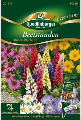 Produktbild von Beetstauden, Bunte Mischung
