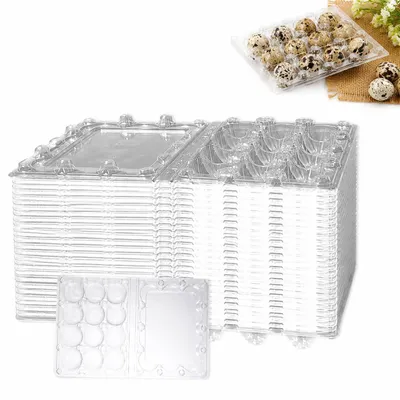 30er-Set Eierdosen aus PVC, 12 Fächer, transparent, für Wachteleier