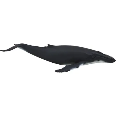 Obrázok produktu pre Mojo Fun Humpback Whale, 3 rok / roky, SEALIFE, Šedá, Biela, Polyvinylchlorid (PVC)