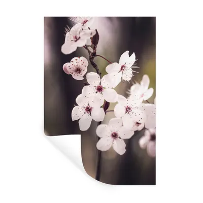 Produktbild von MuchoWow® Wandtattoo Wandsticker Wandaufkleber Blumen - Weiß - Natur - Pflanze - Blüte 80x120 cm Selbstklebend und Repositionierbar - Repositionierbar - Wasser abweisend