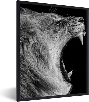 Produktbild von MuchoWow® Gerahmtes Poster Tiere - Löwe - Schwarz - Weiß - Porträt 60x80 cm - Poster mit Schwarzem Bilderrahmen Wandposter Rahmen Foto Bilder - Premium - Wanddeko Wohnzimmer