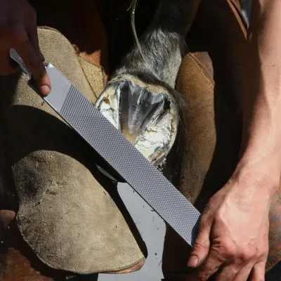 Image de Elzusha - Lime double face pour chevaux et ânes - Soin des sabots