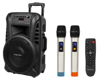 Obrázek produktu pro Kruger&Matz KM1712 Aktivní reproduktor (2 bezdrátové UHF mikrofony, SD, Bluetooth, FM, USB) 40 W