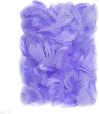 Zdjęcie produktu dla Piórka  5-12 Cm, 10 G Lilac A'6 2741