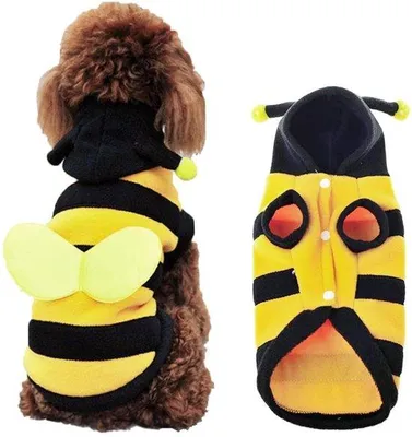 Produktbild von Kleine Hunde, Katzen, Bienen-Kostüme, Halloween-Kostüm, Overall, Kostüm, Tierkleidung, Kleine Bienen-L, Inovra Plus - Kleines Bienen-Halloween-Kostüm, Overall für Hunde und Katzen