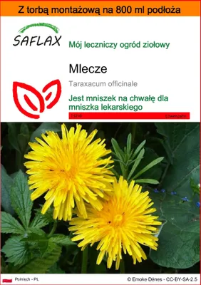 Zdjęcie produktu dla SAFLAX - Garden in the bag - Mlecze - 200 Nasiona - Z podłożem uprawowym w praktycznej, samorozkładającej się torbie - Taraxacum officinale