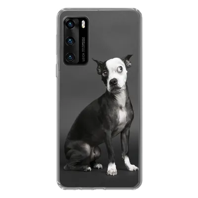 Produktbild von MuchoWow® Handyhülle Schutzhülle Hülle für Huawei P40 Hund - Spot - Porträt Silikon Softcase Handy Hülle