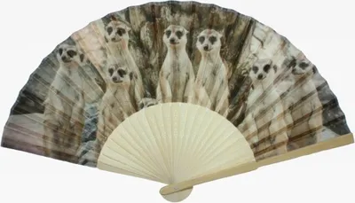 Produktbild von Fächer Erdmännchen, 21 x 38 cm, Tier Tiere, Fasching Karneval Accessoire Handfächer