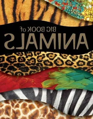 Produktbild von Kinderbuch Tiere - Umfassende Tierlexikon für Kinder - Vielfältige Illustrationen - 128 Seiten - Mehrere Farben