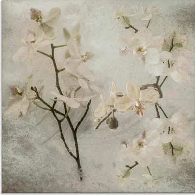 Produktbild von ARTland Glasbild Orchideen Größe: 30x30 cm
