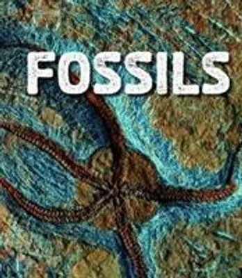 Produktbild von Fossils